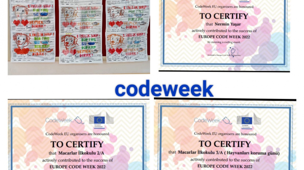 Codeweek Sertifikaları